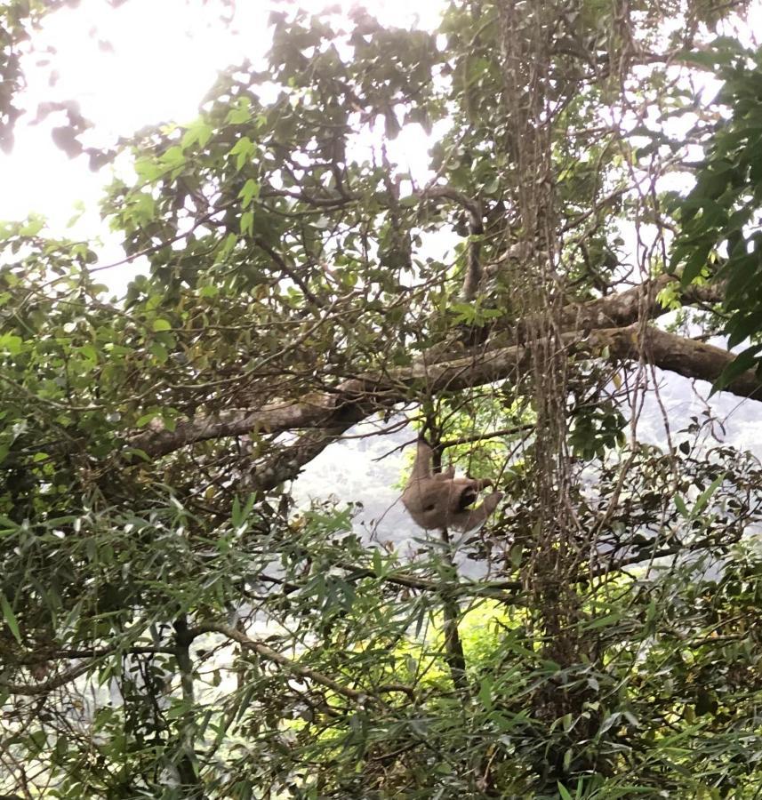 El Valle De Anton La Chachalaca Esterno foto