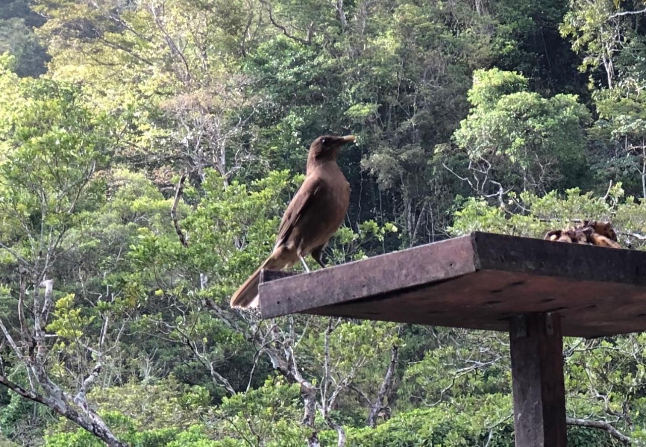 El Valle De Anton La Chachalaca Esterno foto